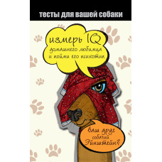 Тести для вашого собаки. Виміряй IQ домашнього улюбленця та зрозумій його психотип