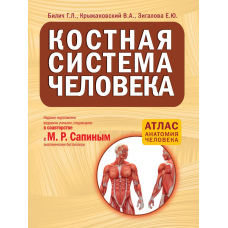 Кісткова система людини
