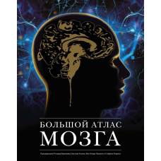 Великий атлас мозку