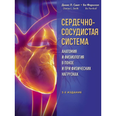 Серцево-судинна система. Анатомія та фізіологія у спокої та під час фізичних навантажень