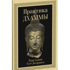 Практика Дхами