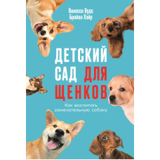 Дошкільний заклад для цуценят: Як виростити чудового пса