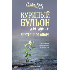 Курячий бульйон для душі. Внутрішня опора. 101 світла історія про те, що робить нас сильнішими