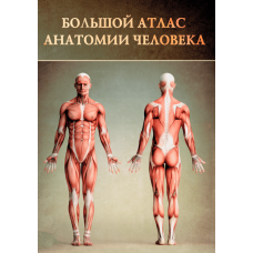 Великий атлас анатомії людини. Перез