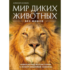 Світ диких тварин без міфів. Неймовірні фотоісторії про життя хижаків савани