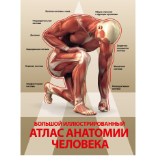 Великий ілюстрований атлас анатомії людини