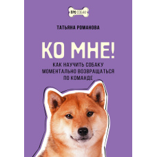 До мене! Як навчити собаку моментально повертатися за командою