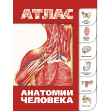 Атлас анатомії людини