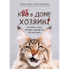 Кіт у домі господар! Як зрозуміти свого улюбленця, потоваришувати і не нашкодити