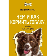 Чим і як годувати собаку, щоб не нашкодити