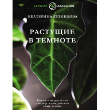 Ті, що ростуть у темряві. Кімнатні рослини для затишних куточків вашого будинку