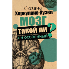 Мозок. Чи такий він особливий?