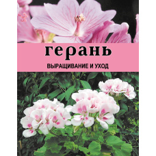 Герань. Вирощування та догляд