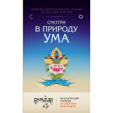 Прозри природу розуму. Класичний посібник із практики Махамудри