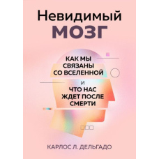 Невидимий мозок. Як ми пов'язані із Всесвітом і що на нас чекає після смерті