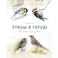 Птахи в місті