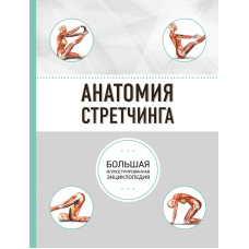 Анатомія розтягування