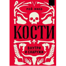 Кістки: всередині та зовні