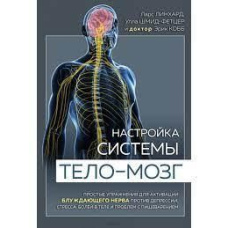 Налаштування системи тіло-мозок. Прості вправи для активації блукаючого нерва проти депресії