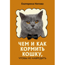 Чим і як годувати кішку, щоб не нашкодити