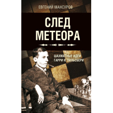 Слід метеора. Шахі ідеї Гаррі Н. Пільсбері. Стратегія