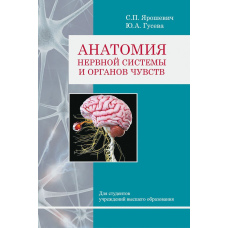 Анатомія нервової системи та органів чуття
