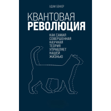 Що є реальним? Незавершені пошуки сенсу квантової фізики