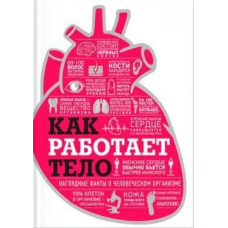 Як працює тіло