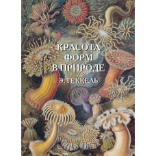 Краса форм у природі