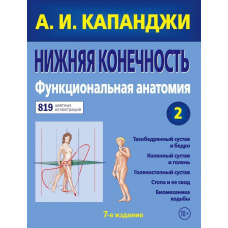 Нижня кінцівка. Функціональна анатомія (оновлене видання)