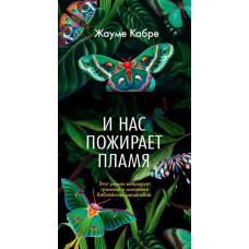 І нас пожирає полум'я