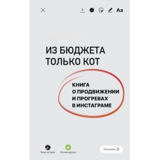 З бюджету тільки кіт. Книга про просування і прогрівання в інстаграмі