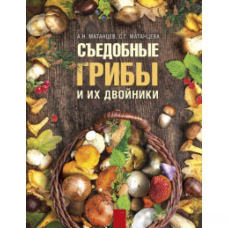 Їстівні гриби та їхні двійники