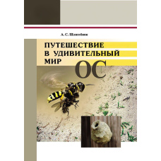 Подорож у дивовижний світ ос
