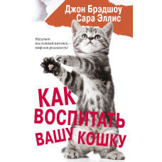 Як виховати вашу кішку