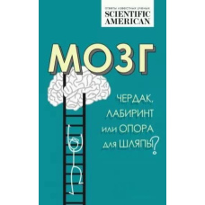 Мозок: горище, лабіринт чи опора для капелюха?