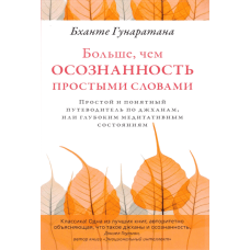 Більше, ніж усвідомленість простими словами. Простий і зрозумілий путівник по джханах, або глибоких медитативних станах
