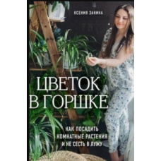 Квітка в горщику. Як посадити кімнатні рослини і не сісти в калюжу