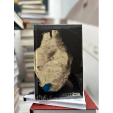 Книга Еміля. Ілларіон Павлюк